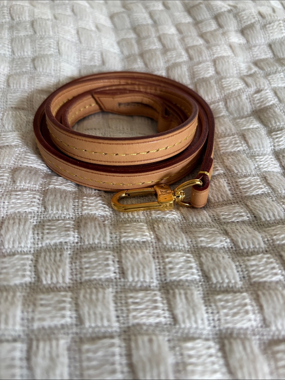 Louis Vuitton Favorite MM Leather Shoulder Strap with Gold Hardware